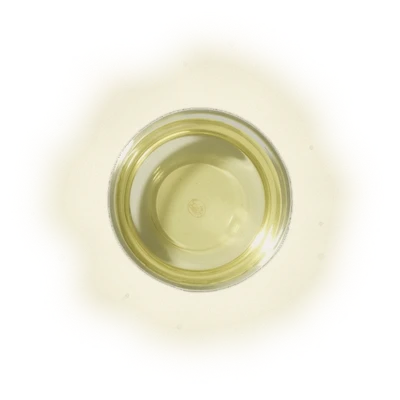 【官網限定】炒菁綠茶〔家庭號9g茶包丨7入環保夾鏈袋〕 6