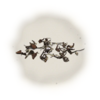 *PRE-ORDER 2025 Summer Harvest* - Wholesale - B001 - MiaoLi - Oriental Beauty Oolong Tea (Competition Grade)