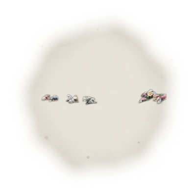 *PRE-ORDER 2025 Summer Harvest* - Wholesale - B001 - MiaoLi - Oriental Beauty Oolong Tea (Competition Grade) 4