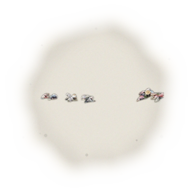 *PRE-ORDER 2025 Summer Harvest* - Wholesale - B001 - MiaoLi - Oriental Beauty Oolong Tea (Competition Grade) 3