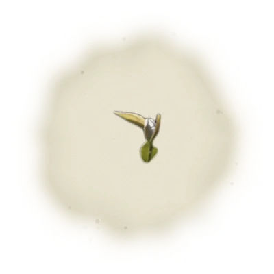 *PRE-ORDER 2025 Summer Harvest* - Wholesale - B001 - MiaoLi - Oriental Beauty Oolong Tea (Competition Grade) 6