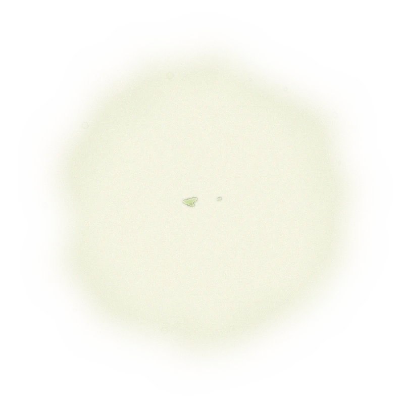 *PRE-ORDER 2025 Summer Harvest* - Wholesale - B001 - MiaoLi - Oriental Beauty Oolong Tea (Competition Grade) 9