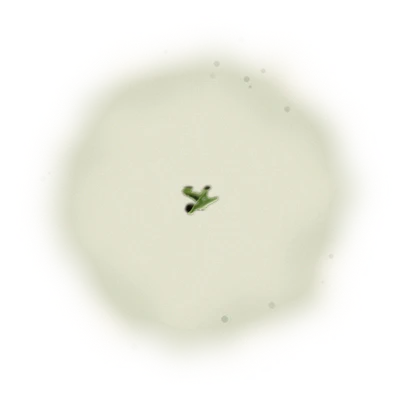 Taiwan AliShan Oolong Tea - Roasted High Mountain Oolong | 台灣阿里山烏龍茶 - 熟香高山烏龍 (75g/150g) 8