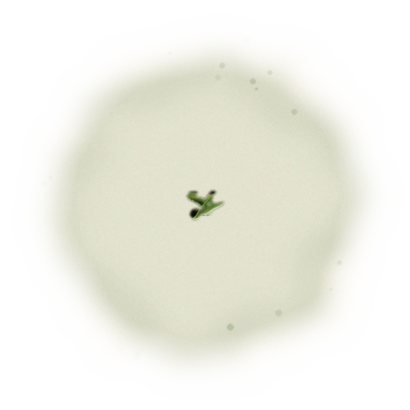 Taiwan AliShan Oolong Tea - Roasted High Mountain Oolong | 台灣阿里山烏龍茶 - 熟香高山烏龍 (75g/150g) 7