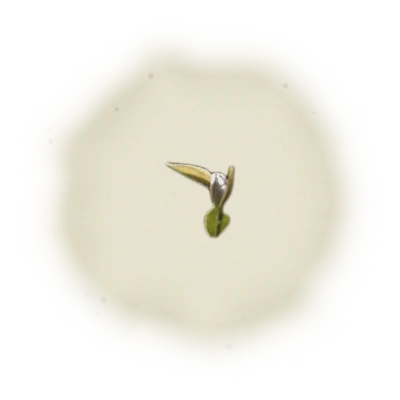 Taiwan MiaoLi Oolong Tea - Oriental Beauty Oolong | 台灣苗栗烏龍茶 - 東方美人烏龍 (50g/150g) 4