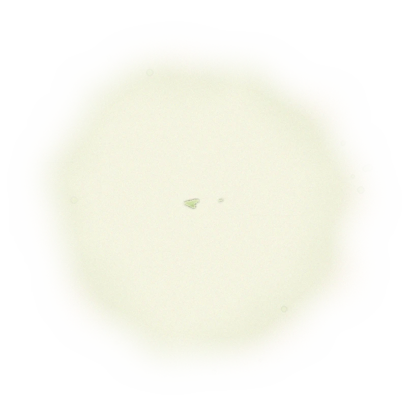 Taiwan MiaoLi Oolong Tea - Oriental Beauty Oolong | 台灣苗栗烏龍茶 - 東方美人烏龍 (50g/150g) 7
