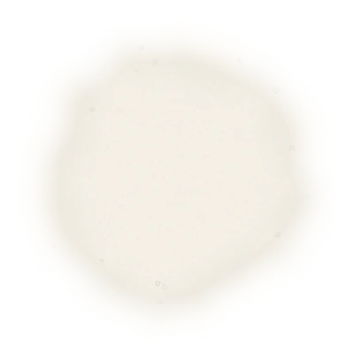 Taiwan PingLin Oolong Tea - Pouchong Oolong | 台灣坪林烏龍茶 - 包種烏龍 (150g) 4