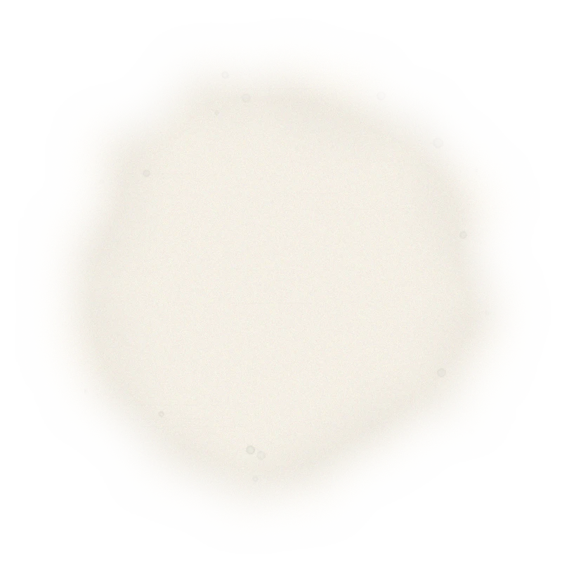 Taiwan PingLin Oolong Tea - Pouchong Oolong | 台灣坪林烏龍茶 - 包種烏龍 (150g) 3