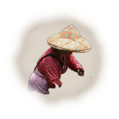 Taiwan Sun Moon Lake Black Tea - Assam TTES#8 | 台灣日月潭紅茶 - 台茶8號阿薩姆 (75g) 6