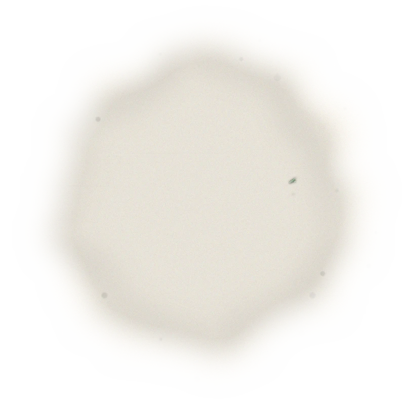Taiwan Sun Moon Lake Black Tea - Assam TTES#8 | 台灣日月潭紅茶 - 台茶8號阿薩姆 (75g) 7