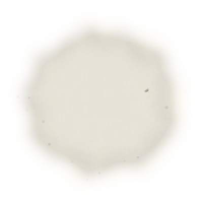 Taiwan Sun Moon Lake Black Tea - Formosa | 台灣日月潭紅茶 - 原生種山茶 (75g) 8