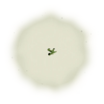 Wholesale - A001 - AliShan High Mountain Oolong (Competition Grade) 6