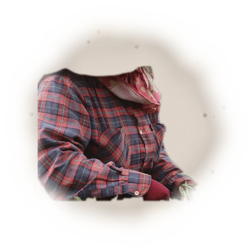 Wholesale - A001 - AliShan High Mountain Oolong (Competition Grade) 7