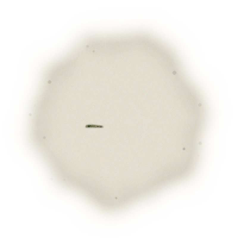 Wholesale - A001R - Roasted AliShan High Mountain Oolong (Competition Grade) 3