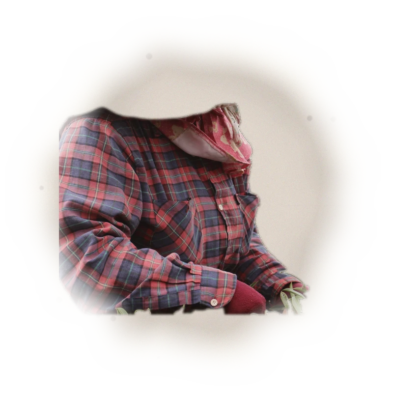 Wholesale - A001R - Roasted AliShan High Mountain Oolong (Competition Grade) 7