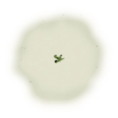 Wholesale - A002 - AliShan High Mountain Oolong (Premium Grade) 6