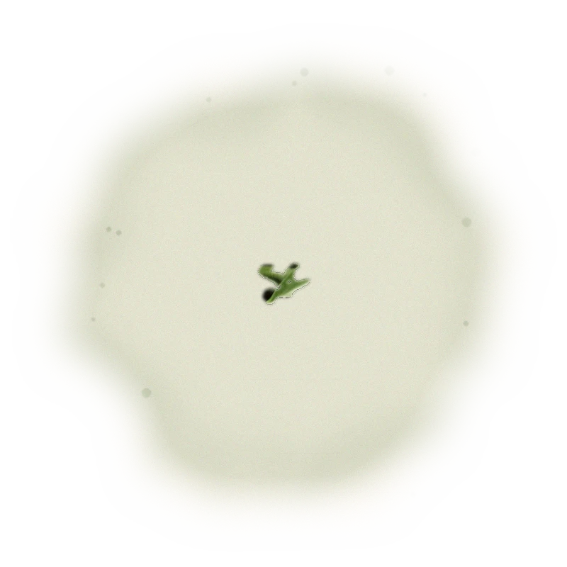 Wholesale - A002 - AliShan High Mountain Oolong (Premium Grade) 5