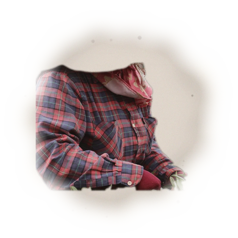 Wholesale - A002 - AliShan High Mountain Oolong (Premium Grade) 7