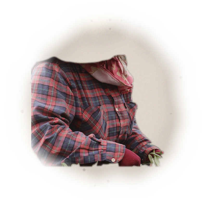 Wholesale - A002R - AliShan - Roasted High Mountain Oolong (Premium Grade) 7