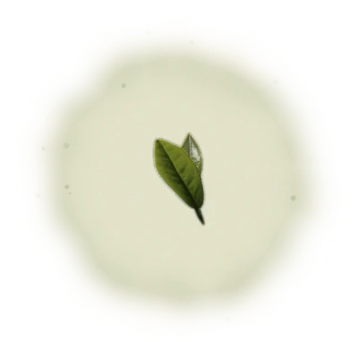 Wholesale - A002R - AliShan - Roasted High Mountain Oolong (Premium Grade) 10