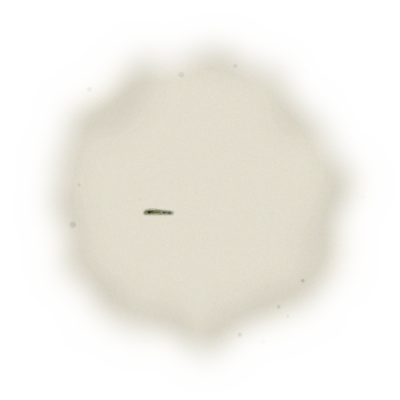Wholesale - A003 - AliShan Jin Xuan Oolong (Competition Grade) 3