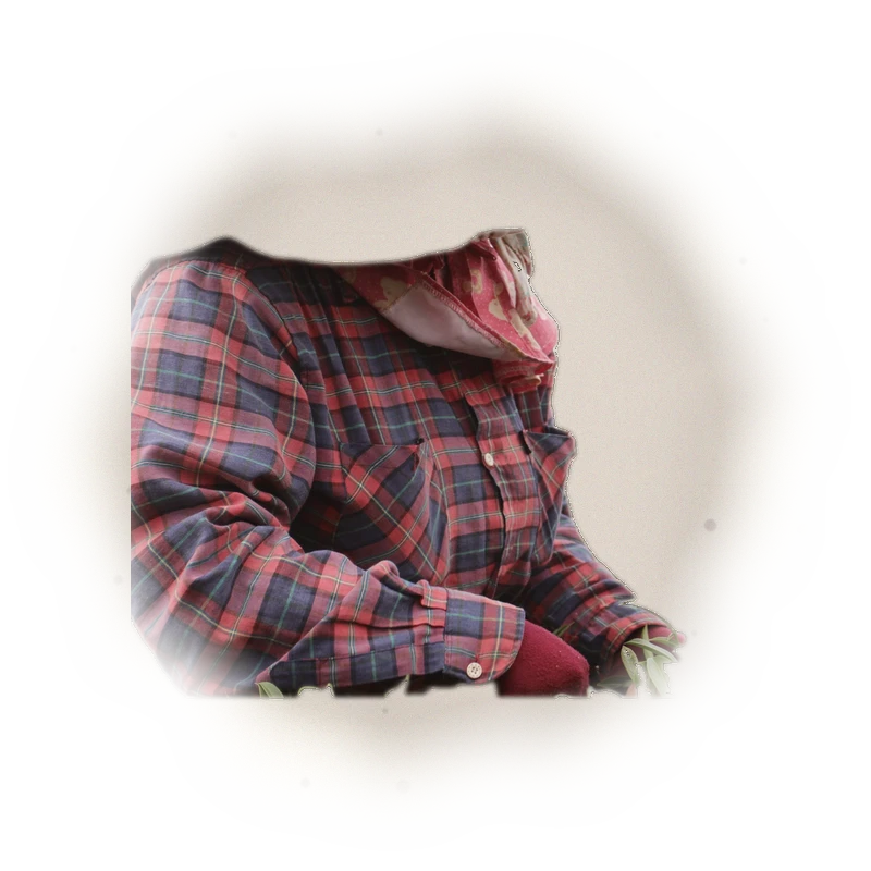 Wholesale - A003 - AliShan Jin Xuan Oolong (Competition Grade) 7