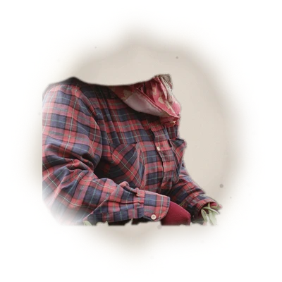 Wholesale - A004 - AliShan Jin Xuan Oolong (Premium Grade) 8