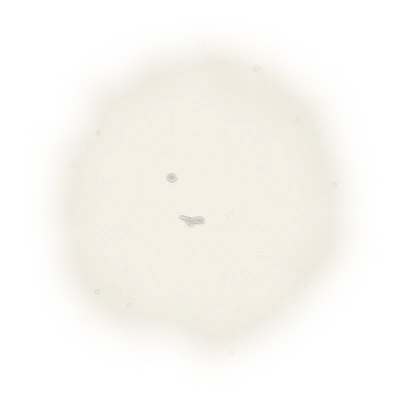 Wholesale - L001 - LiShan Oolong Tea (Competition Grade) 4