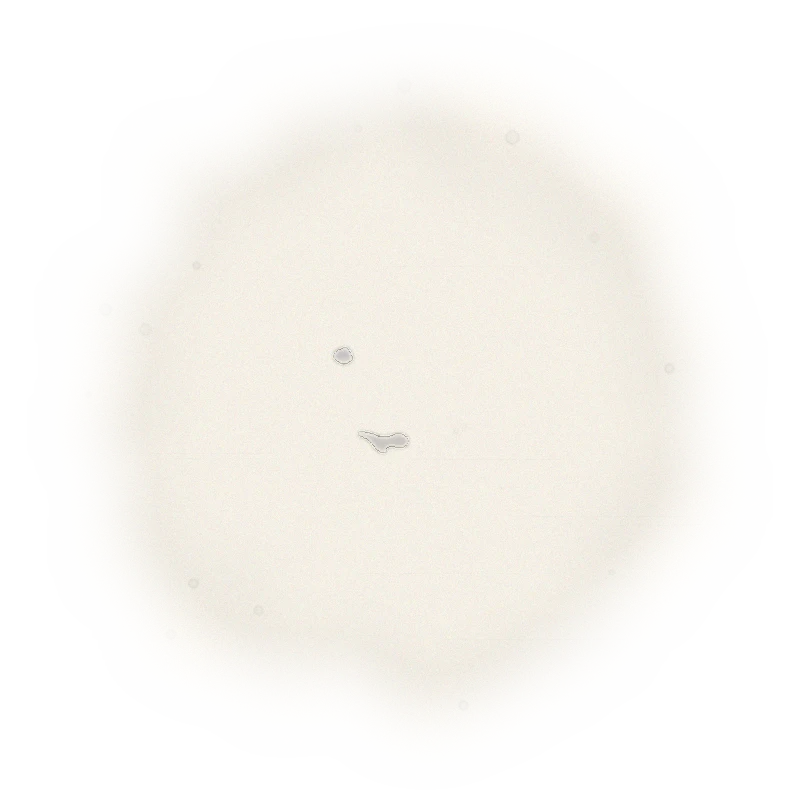 Wholesale - L001 - LiShan Oolong Tea (Competition Grade) 3