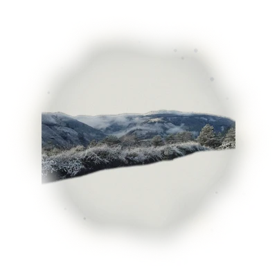Wholesale - L001 - LiShan Oolong Tea (Competition Grade) 6