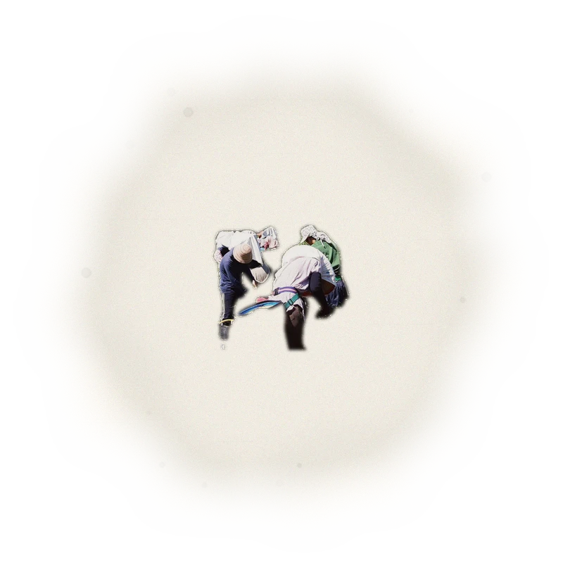 Wholesale - L001 - LiShan Oolong Tea (Competition Grade) 7