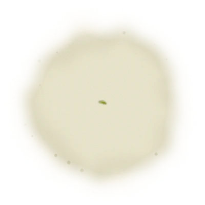 Wholesale - M001 - Ming Jian - Jin Xuan Oolong Tea 10