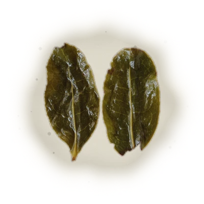 Wholesale - M002 - Ming Jian - Jade Oolong Tea 4