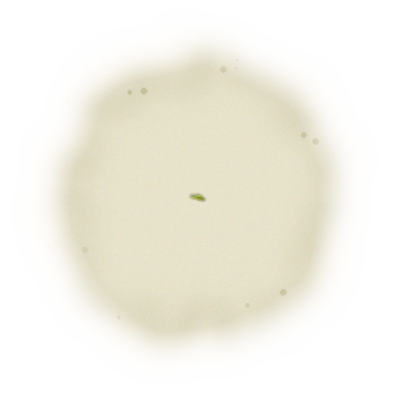 Wholesale - M002 - Ming Jian - Jade Oolong Tea 9