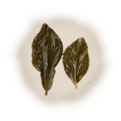 Wholesale - M003 - Ming Jian - Four Seasons Oolong Tea 4