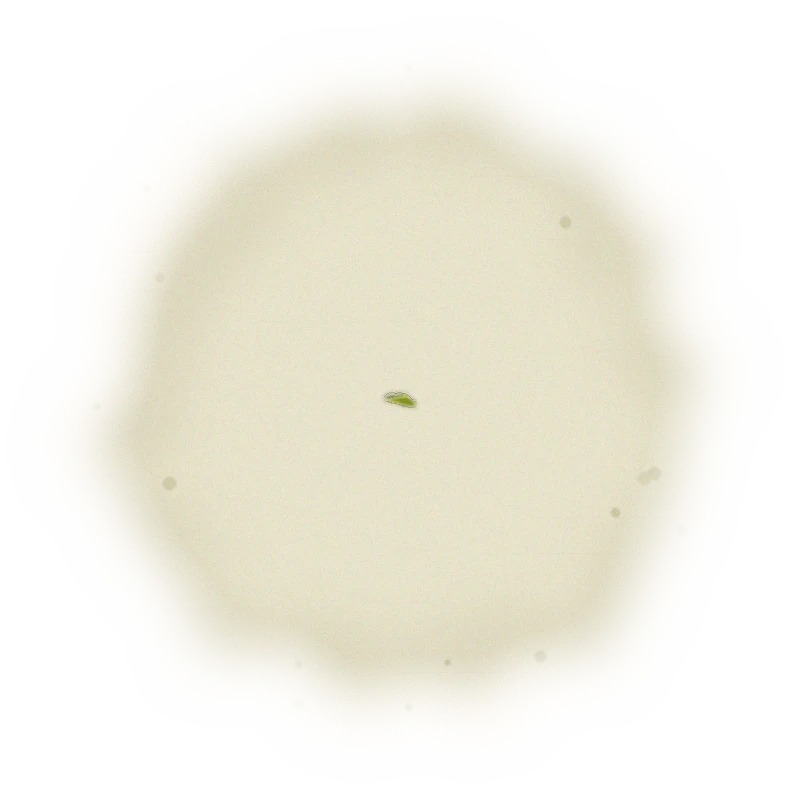 Wholesale - M003 - Ming Jian - Four Seasons Oolong Tea 9