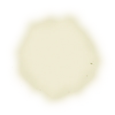 Wholesale - M004 - Ming Jian - Jasmine Green Tea 6