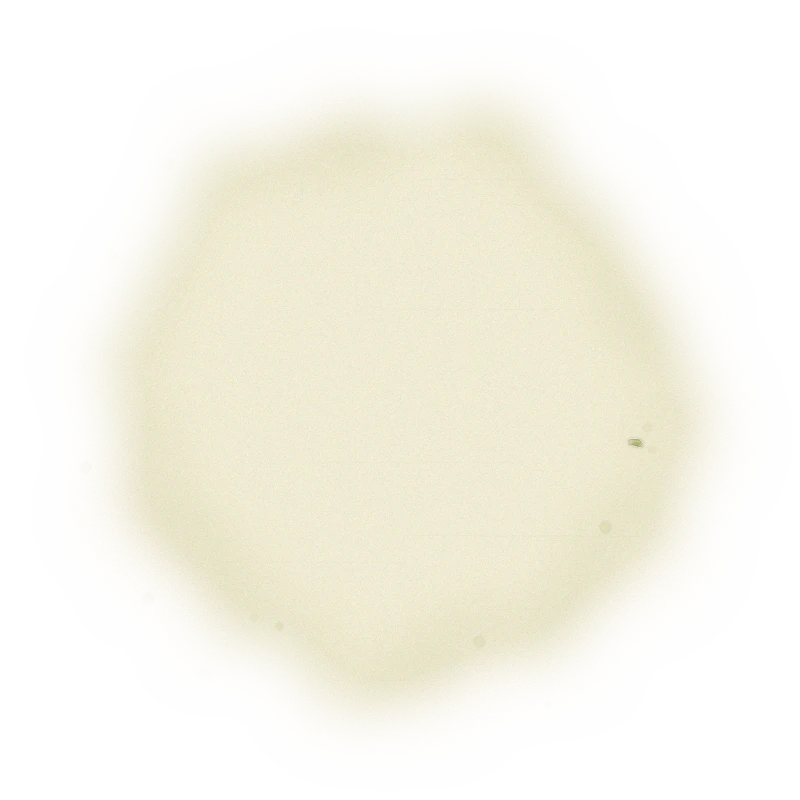 Wholesale - M004 - Ming Jian - Jasmine Green Tea 5