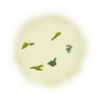 Wholesale - M004 - Ming Jian - Jasmine Green Tea 8