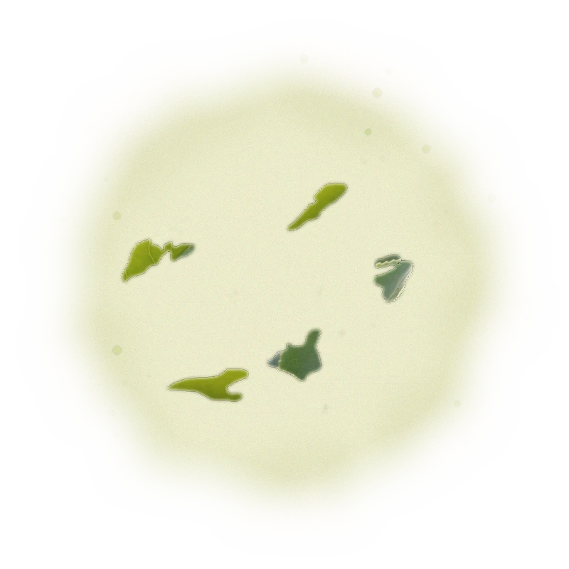 Wholesale - M004 - Ming Jian - Jasmine Green Tea 7