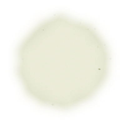Wholesale - M007 - Ming Jian - GABA Oolong Tea 6