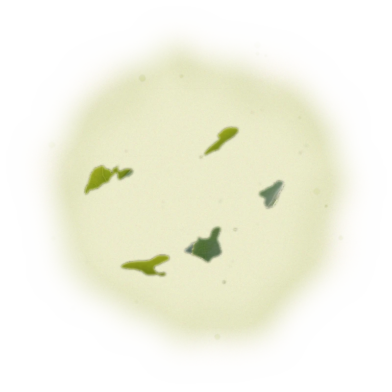 Wholesale - M007 - Ming Jian - GABA Oolong Tea 7