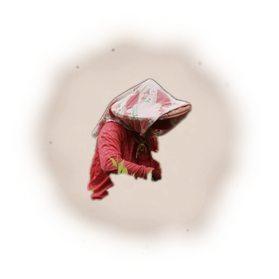 Wholesale - S001 - Sun Moon Lake - Ruby Black Tea TTES#18 (Competition Grade) 6