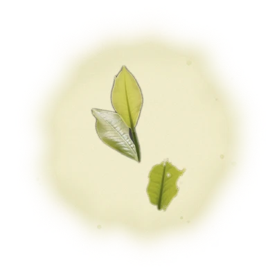 Wholesale - S001 - Sun Moon Lake - Ruby Black Tea TTES#18 (Competition Grade) 8