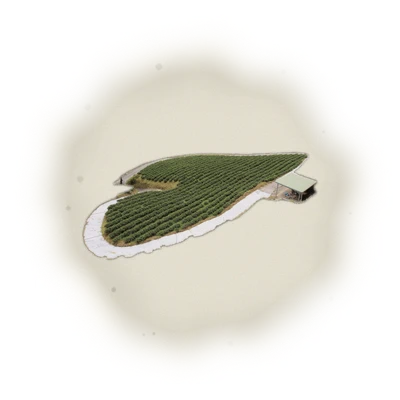 Wholesale - S002 - Sun Moon Lake - Ruby Black Tea TTES#18 (Premium Grade) 4