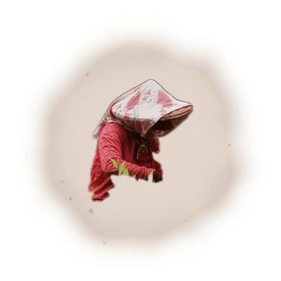 Wholesale - S002 - Sun Moon Lake - Ruby Black Tea TTES#18 (Premium Grade) 6