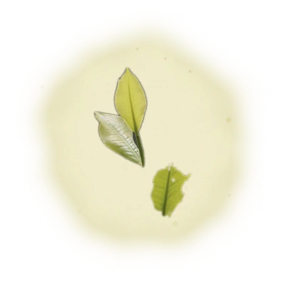 Wholesale - S002 - Sun Moon Lake - Ruby Black Tea TTES#18 (Premium Grade) 8
