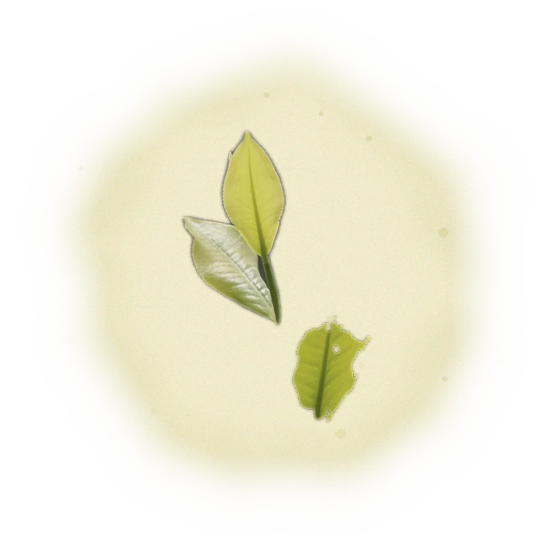 Wholesale - S002 - Sun Moon Lake - Ruby Black Tea TTES#18 (Premium Grade) 7