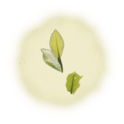 Wholesale - S003 - Sun Moon Lake - Assam Black Tea TTES#8 (Competition Grade) 8