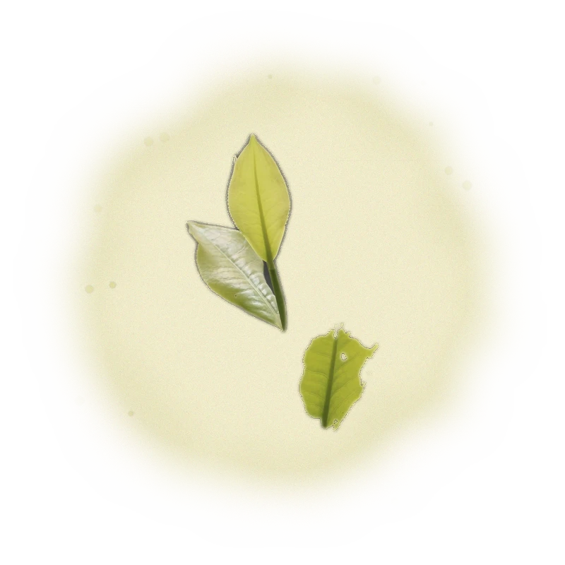 Wholesale - S003 - Sun Moon Lake - Assam Black Tea TTES#8 (Competition Grade) 7